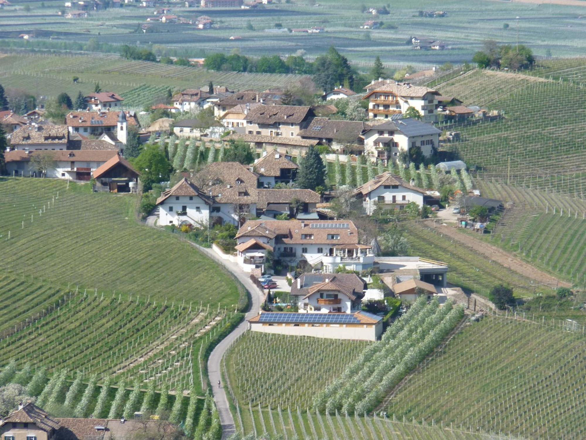 Ferienwohnungen Lanserhof Appiano Sulla Strada Del Vino Eksteriør bilde